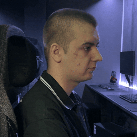 Esports Nip GIF by Ninjas In Pyjamas