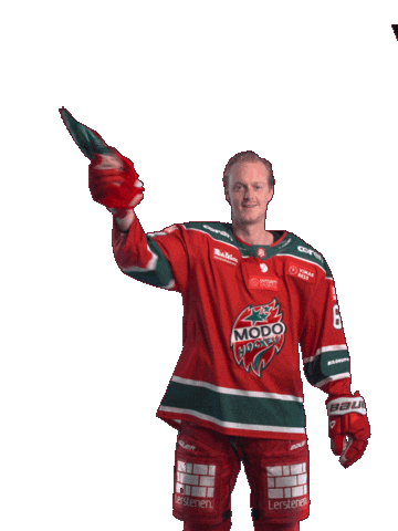 Sticker by MoDo Hockey