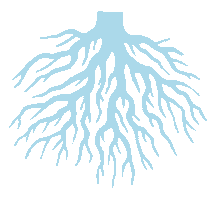 Idaho Bcm Sticker by Boise Co-op Market