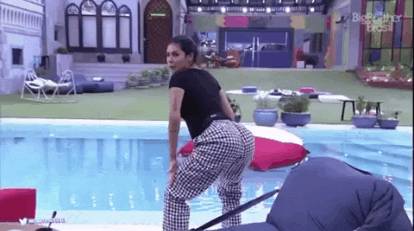 Big Brother Bbb GIF - Find & Share on GIPHY