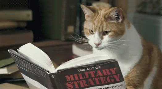 Cat Reading Military Strategy GIF - Find & Share on GIPHY