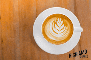 Kopi Morning Coffee GIF by Richiamo Coffee