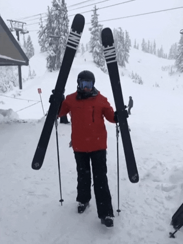 Happy Line Skis GIF by TheMacnabs