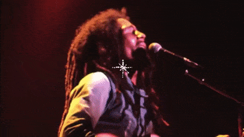 Jamming Bob Marley And The Wailers GIF by Bob Marley
