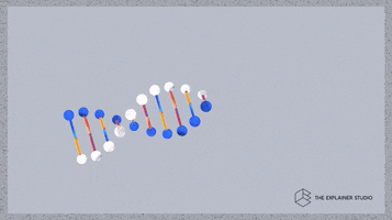 Double Helix Animation GIF by The Explainer Studio