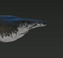 Mosasaurus GIF