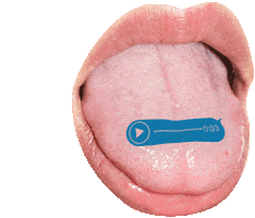 Lettering Tongue Sticker by neo.says.miau.