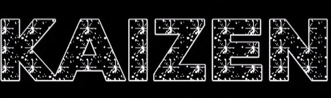 ShopKaizen kaizen shopkaizen nicolewhite kzen GIF
