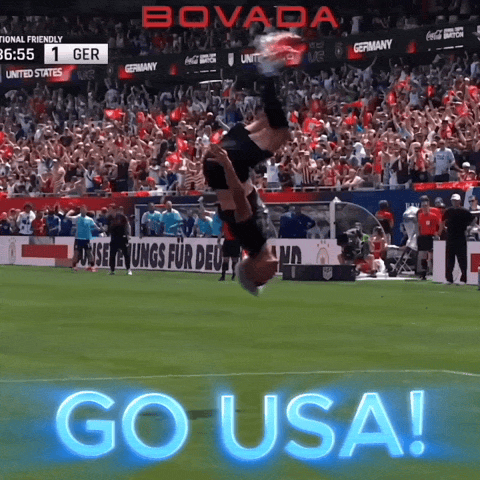 Go Us World Cup GIF by Bovada