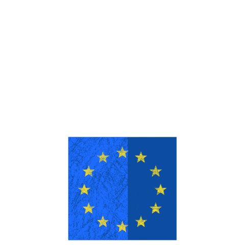 European Elections 2024 GIF by European Parliament