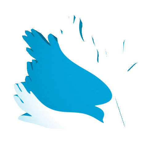 Fontecerrado Sticker by Ta na Fonte!