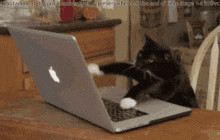 Redfinapproved GIF by Rocket Mortgage
