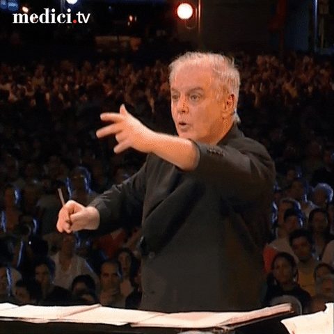 Classical Music Conductor GIF by medici.tv