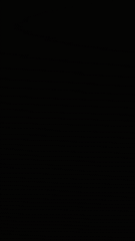 BHZ GIF