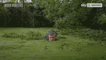 History Channel Swamp GIF by Sky HISTORY UK