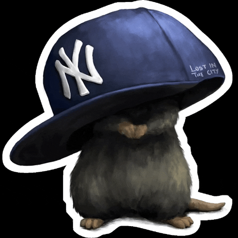 lostinthecity_ny nyc hat mouse new york city GIF