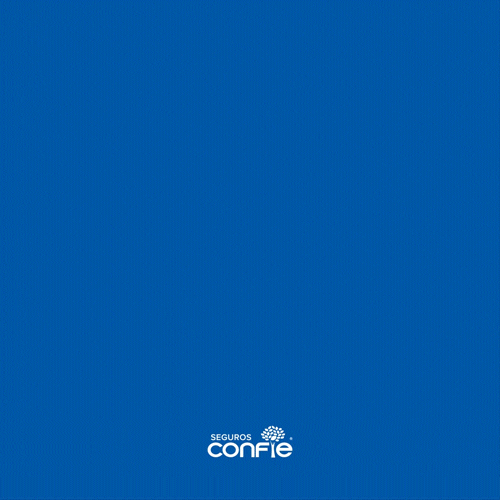 seguros-confie-gifs-on-giphy-be-animated