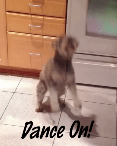 Dance Love GIF by Pluto Living