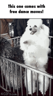 Animated GIF