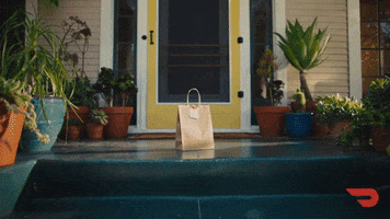 Delivery GIF by DoorDash