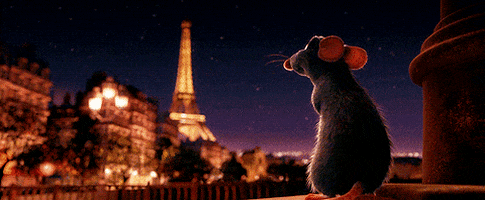 Paris GIFs - Get the best GIF on GIPHY