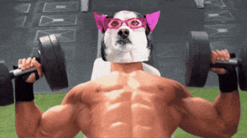 Lets Go Dog GIF by SWAGGY WOLFDOG