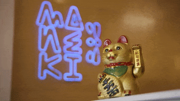 Asian Food Cat GIF by Productions Deferlantes