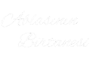 Abi Aile Sticker