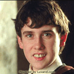 matthew lewis