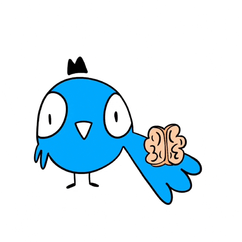 Drawing Bird GIF