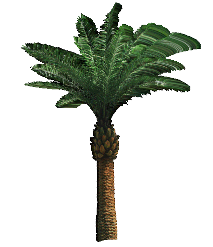 Palm Tree Summer Sticker