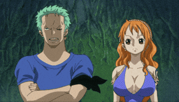 One Piece Nami GIF
