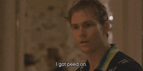 I Got Peed On Seann William Scott GIF - Find & Share on GIPHY