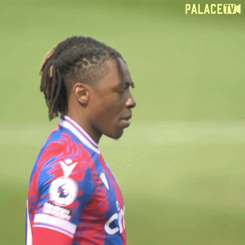 Serious Premier League GIF by Crystal Palace Football Club