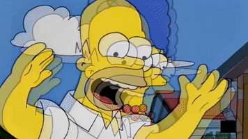 karleloso the simpsons homer hans moleman GIF