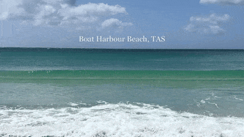 Boat Harbour Beach GIF