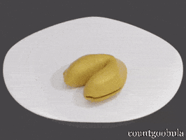 Angry Tuxedo Cat GIF