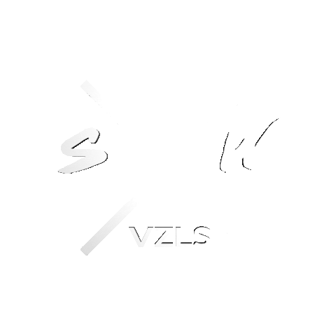 SouWa VZLS Sticker