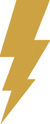 Zelta Sticker