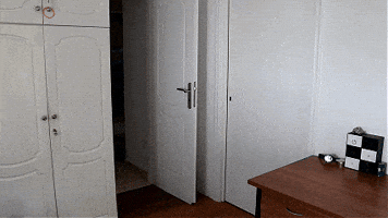 Jumping In Bed GIF
