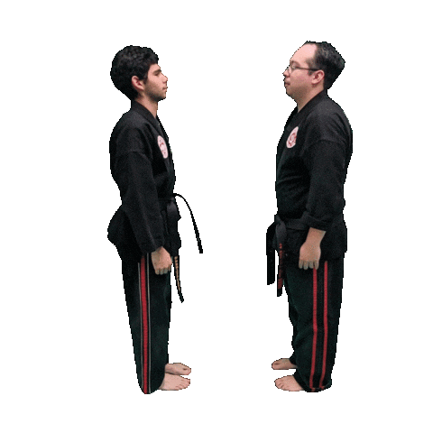 Karate Taekwondo Sticker by Team GMA