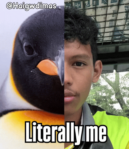 Penguin Mountain GIF