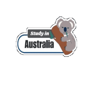 Australia Koala Sticker by MMS