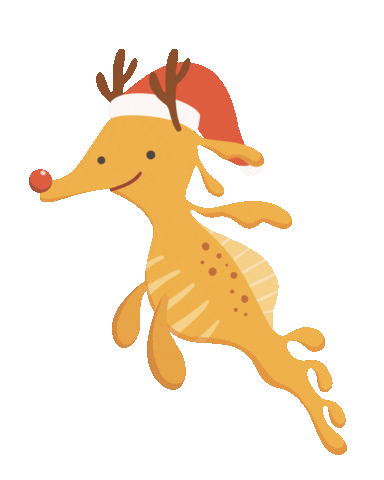Animated Sticker