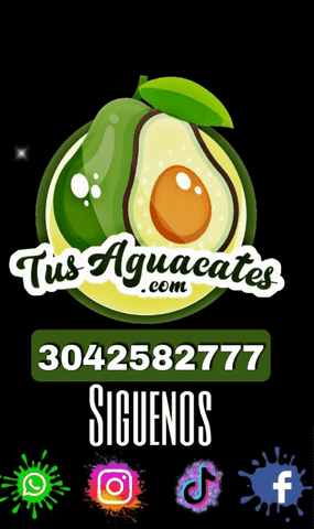 Tusaguacates  GIF