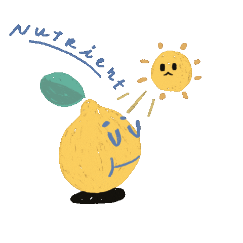 Sun Sticker