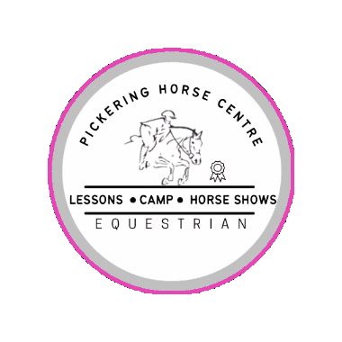 Horses Phc Sticker by Pickering Horse Centre