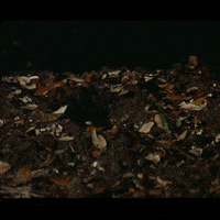 children shouldn't play with dead things horror GIF by absurdnoise