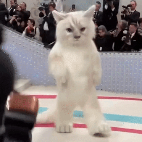 Jared Leto Cats GIF by Lesbians Who Tech + Allies