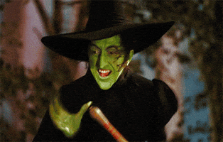wicked witch GIF